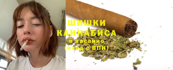 PSILOCYBIN Дмитриев